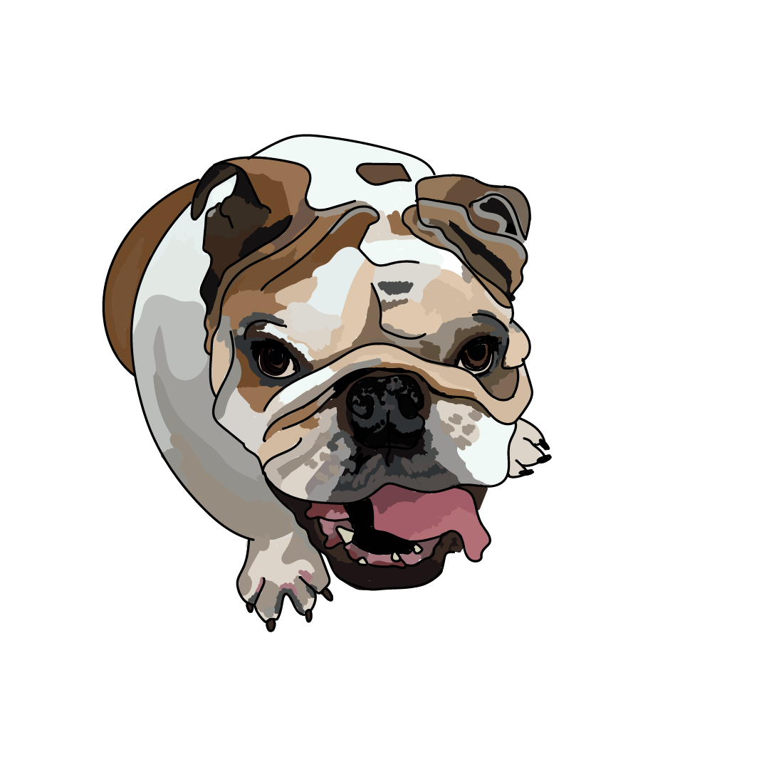 Vito 