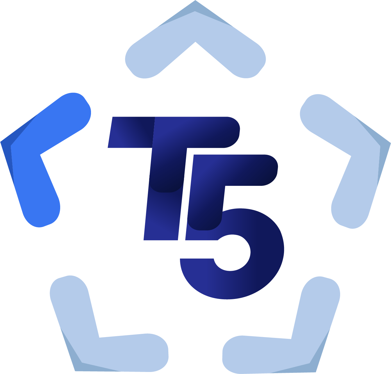 T2