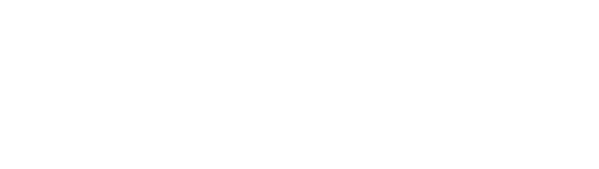meddicc- blueprint-white