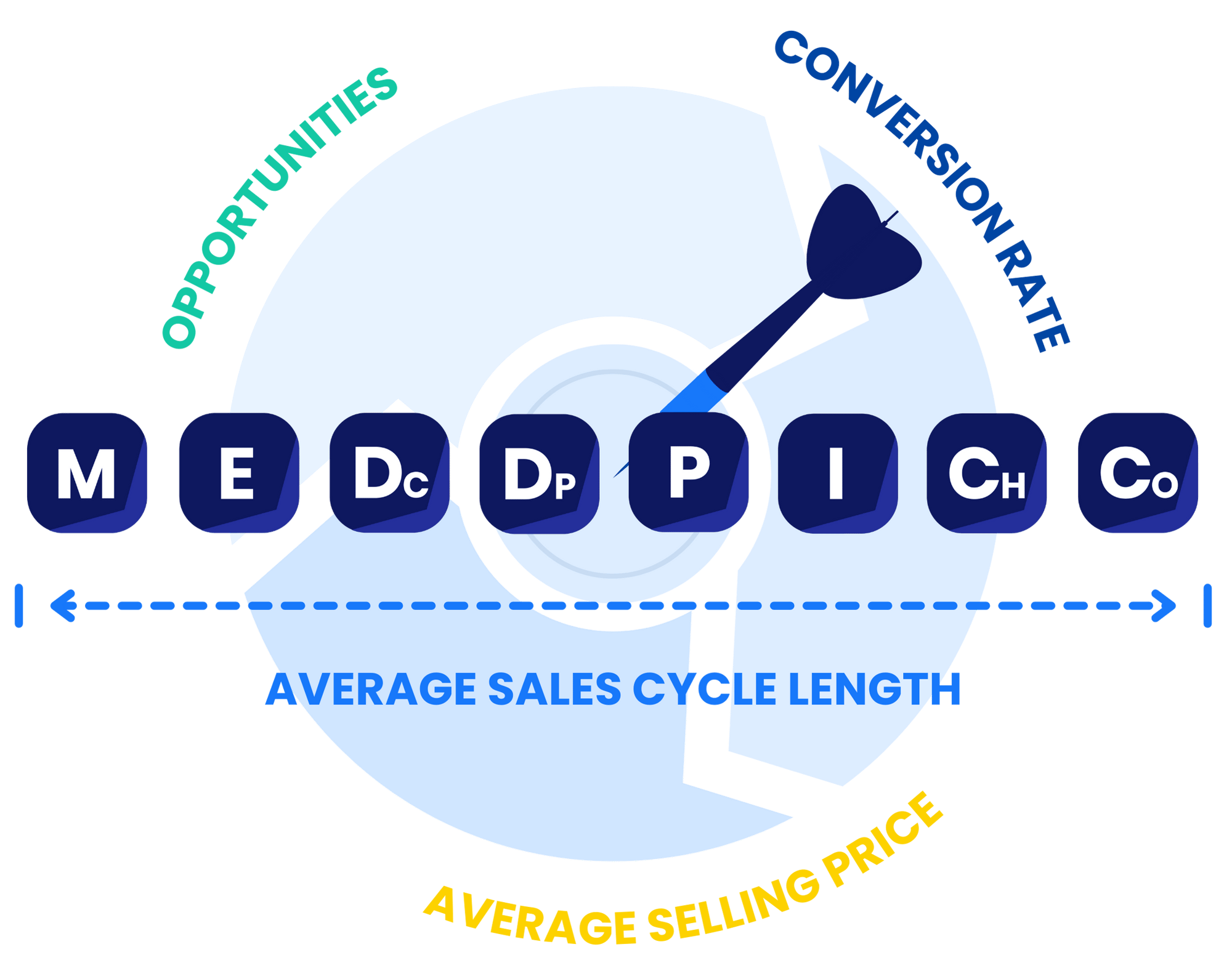 web_graphics_SVE (2)