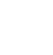 MEDDICC_Blueprint_The Solution