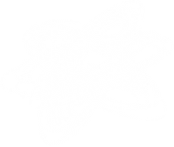 MEDDICC_Blueprint_The Problem